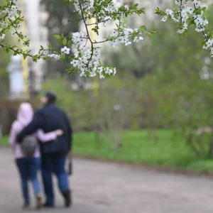Главная